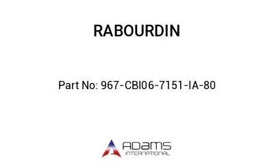 967-CBI06-7151-IA-80