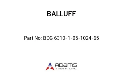 BDG 6310-1-05-1024-65									