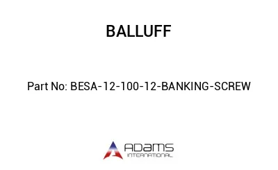 BESA-12-100-12-BANKING-SCREW									