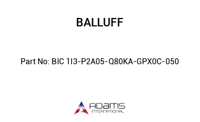 BIC 1I3-P2A05-Q80KA-GPX0C-050									