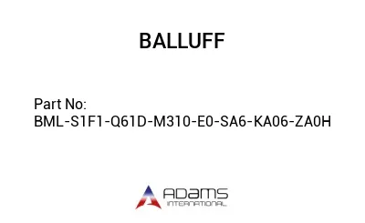 BML-S1F1-Q61D-M310-E0-SA6-KA06-ZA0H									
