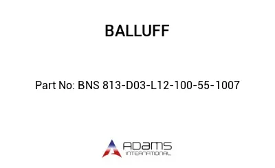 BNS 813-D03-L12-100-55-1007									