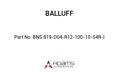 BNS 819-D04-R12-100-10-S4R-I									