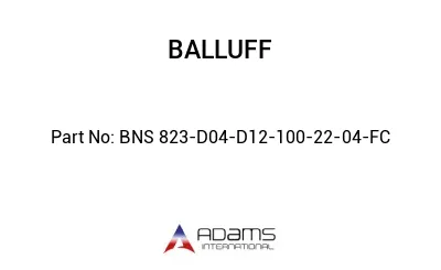 BNS 823-D04-D12-100-22-04-FC									