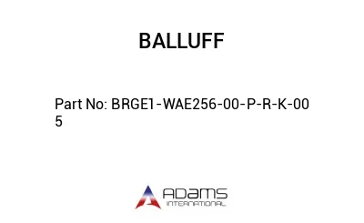 BRGE1-WAE256-00-P-R-K-00	5								