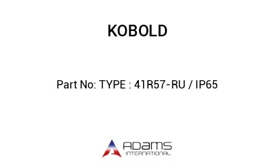 TYPE : 41R57-RU / IP65
